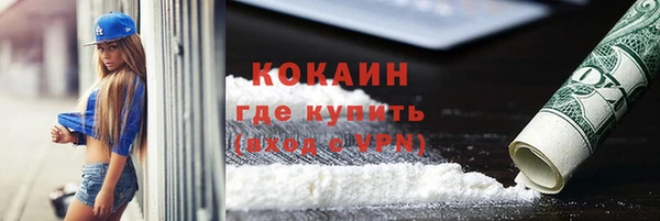 крисы Алексин