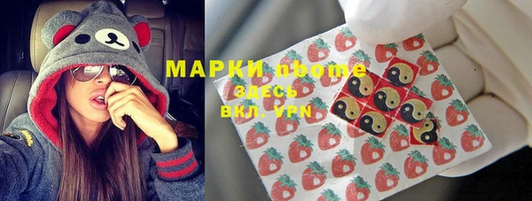 сатива Шадринск
