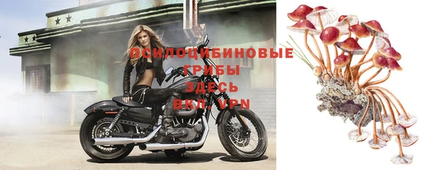 крисы Алексин