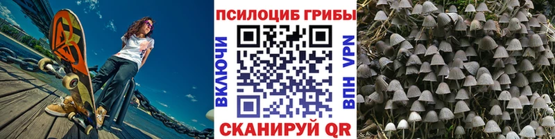 Галлюциногенные грибы MAGIC MUSHROOMS  KRAKEN сайт  Бавлы 