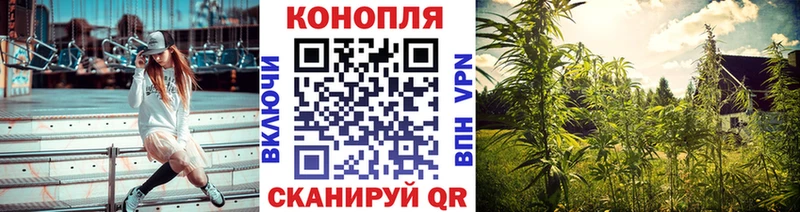 Конопля планчик Бавлы